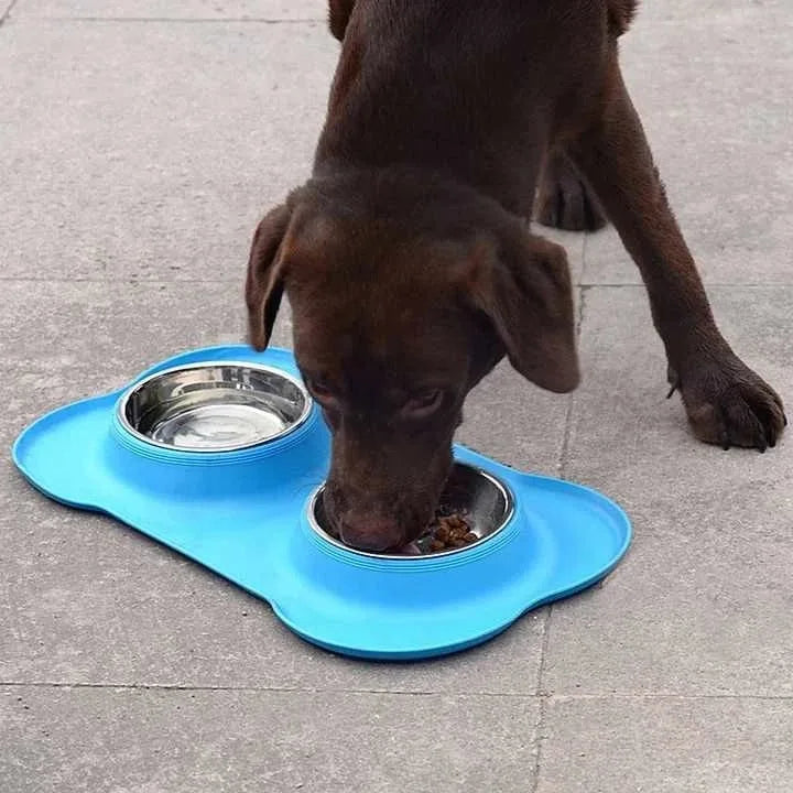 Stainless Steel Double Dog Bowl with Non-Slip Silicone Mat