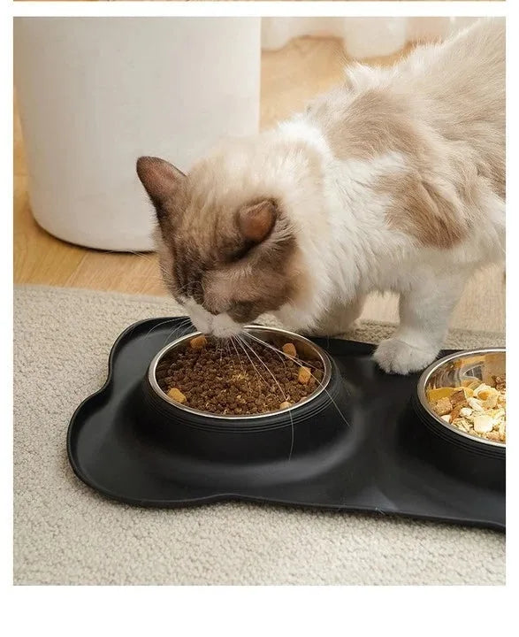 Stainless Steel Double Dog Bowl with Non-Slip Silicone Mat