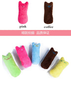 Catnip Plush Chew Toy with Sound for Cats