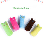 Catnip Plush Chew Toy with Sound for Cats