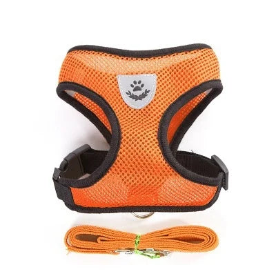 Breathable Mesh Dog & Cat Harness with Lead – S to XL