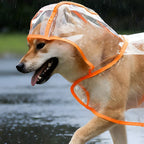 Transparent Waterproof Dog Raincoat – S–XL