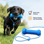 Rubber Dog Chew & Tooth-Cleaning Stick