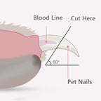 LED Pet Nail Clippers for Dogs & Cats