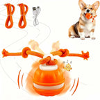 Interactive Dog Toy Ball with Rope Electronic Motion Activated Rolling Ball for Indoor Cat Dog Play Toys for Puppy Training Ball