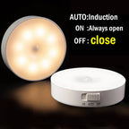 Rechargeable Motion Sensor LED Night Light