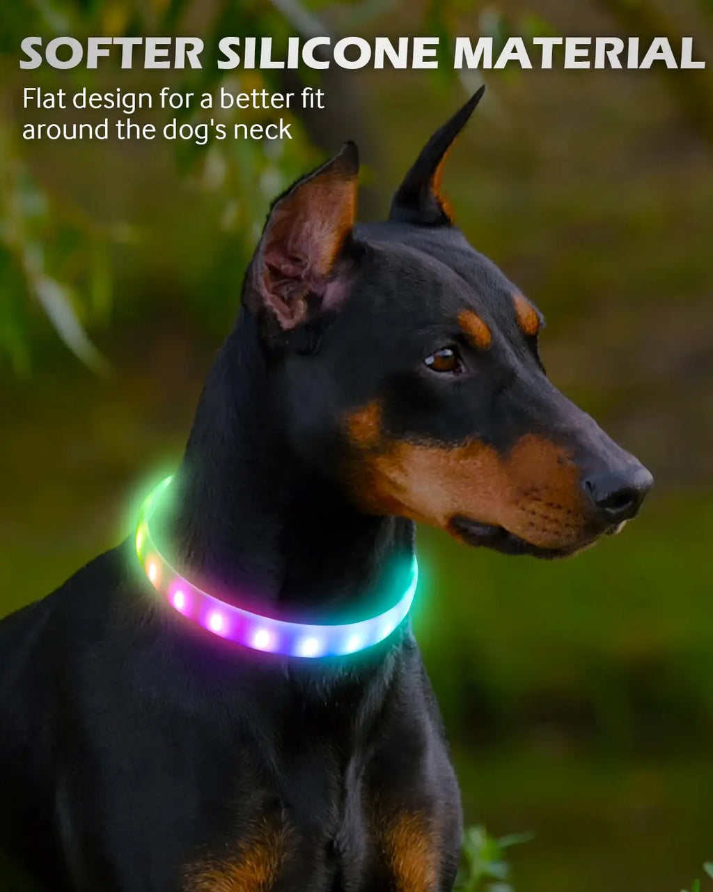 Lightweight USB Rechargeable Collar for Large Medium and Small Dogs, Glowing