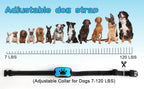 USB Rechargeable Anti-Bark Dog Collar with Sound & Vibration
