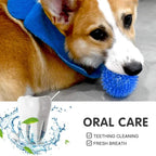TPR Squeaky Spiked Ball Chew Toy for Dogs & Cats