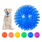 TPR Squeaky Spiked Ball Chew Toy for Dogs & Cats