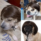 Pet Bob Wig Exposed Ear Design Comfortable To Wear Cat Fake Hair Dressing Up fun