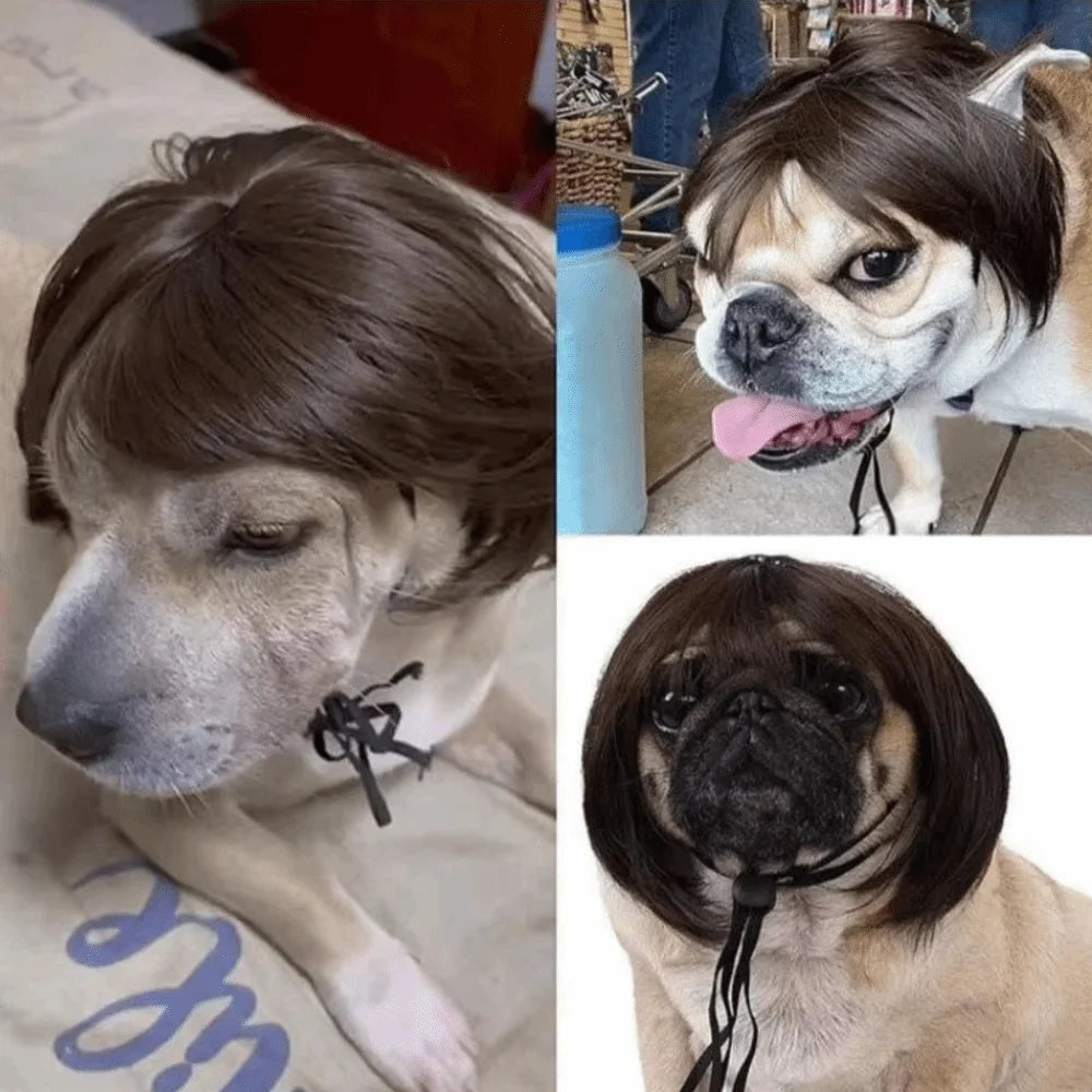 Pet Bob Wig Exposed Ear Design Comfortable To Wear Cat Fake Hair Dressing Up fun