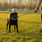Rubber Dog Chew & Tooth-Cleaning Stick