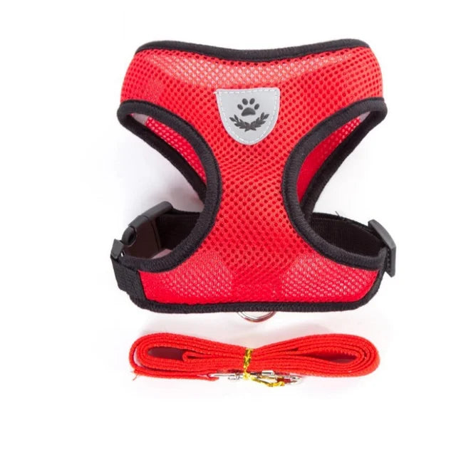 Breathable Mesh Dog & Cat Harness with Lead – S to XL
