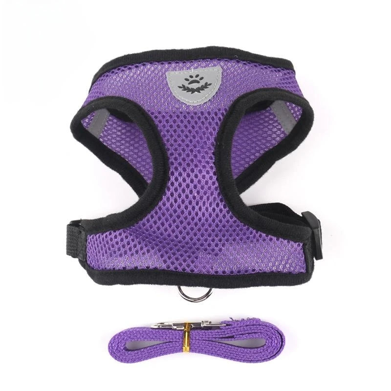 Breathable Mesh Dog & Cat Harness with Lead – S to XL