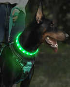 Lightweight USB Rechargeable Collar for Large Medium and Small Dogs, Glowing