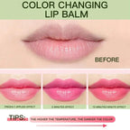 Aloe Vera Color-Changing Lipstick Long-Lasting, Moisturizing, Temperature-Activated Lip Balm, Fade-Resistant Nourishing Lip Care