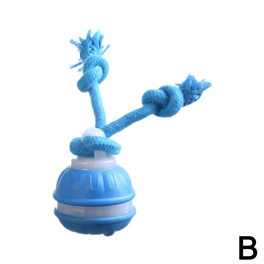 Motion-Activated Rolling Pet Toy Ball with Rope