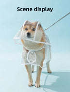 Transparent Waterproof Dog Raincoat – XS–8XL