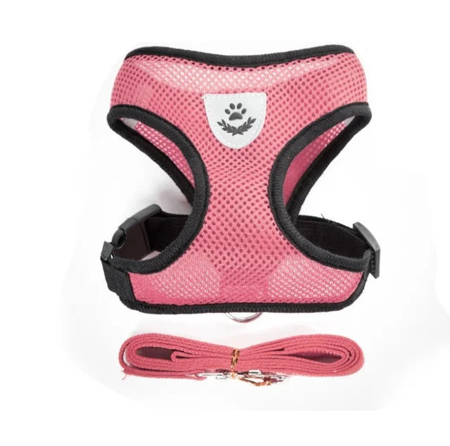 Breathable Mesh Dog & Cat Harness with Lead – S to XL