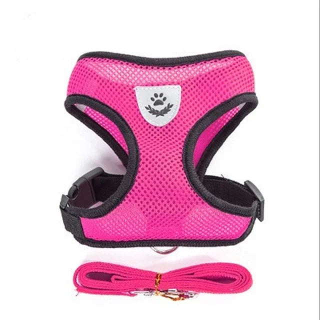 Breathable Mesh Dog & Cat Harness with Lead – S to XL