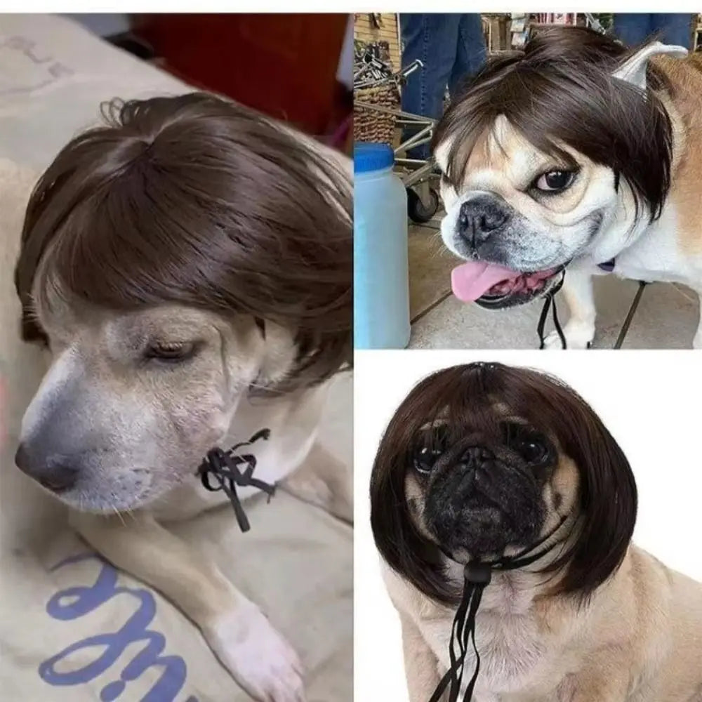 Pet Bob Wig Exposed Ear Design Comfortable To Wear Cat Fake Hair Dressing Up fun
