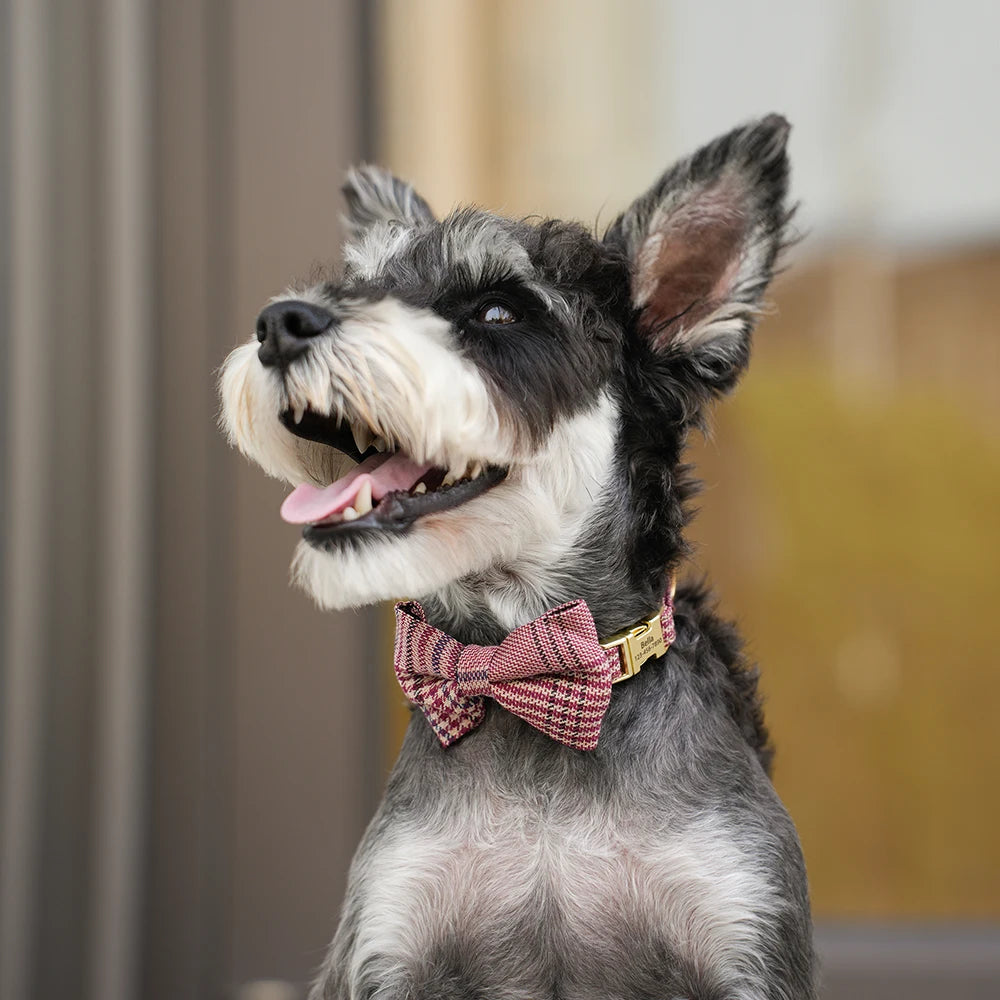Personalized Dog Collar Cute Bowtie Puppy Cat Free Engraving  Small Medium Dogs Cats Chihuahua Yorkshire