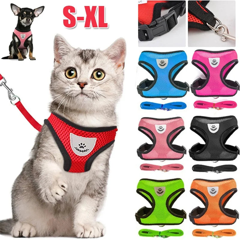 Breathable Mesh Dog & Cat Harness with Lead – S to XL