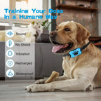 USB Rechargeable Anti-Bark Dog Collar with Sound & Vibration