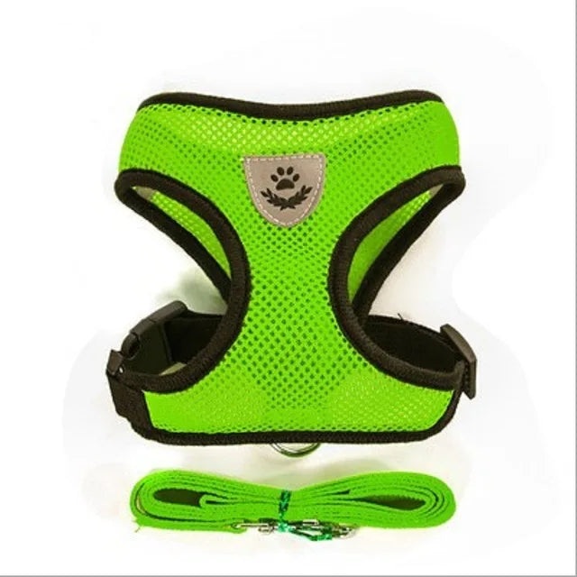 Breathable Mesh Dog & Cat Harness with Lead – S to XL