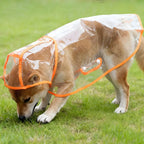 Transparent Waterproof Dog Raincoat – S–XL