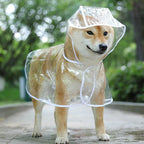 Transparent Waterproof Dog Raincoat – XS–8XL