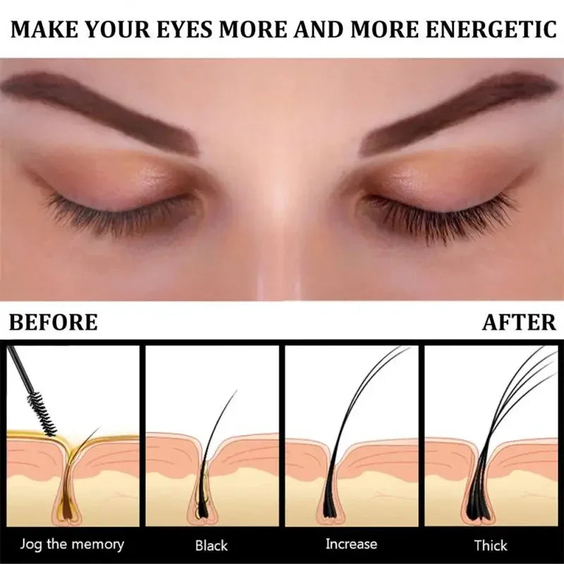 Fast Eyelash Growth Serum Eyebrow Enhancer  Women Korean Cosmetics