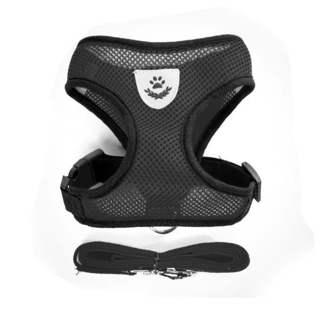 Breathable Mesh Dog & Cat Harness with Lead – S to XL