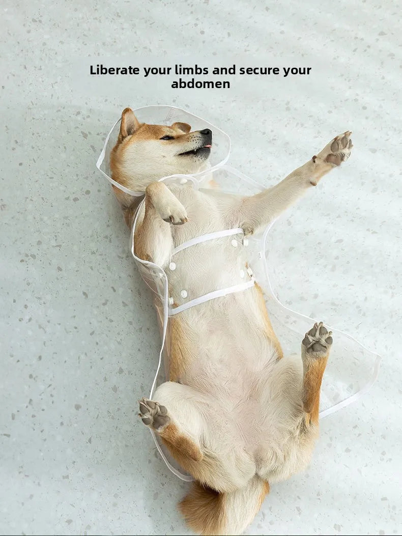 XS-8XL Pet Raincoat Transparent Dog Raincoat Waterproof and Windproof Pet Clothing Large Dog Pet Costume for Rainy Days Walking