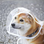 Transparent Waterproof Dog Raincoat – XS–8XL