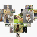 Long Nylon Dog Training Lead – 1.2m to 30m