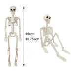 Skeleton halloween decoration