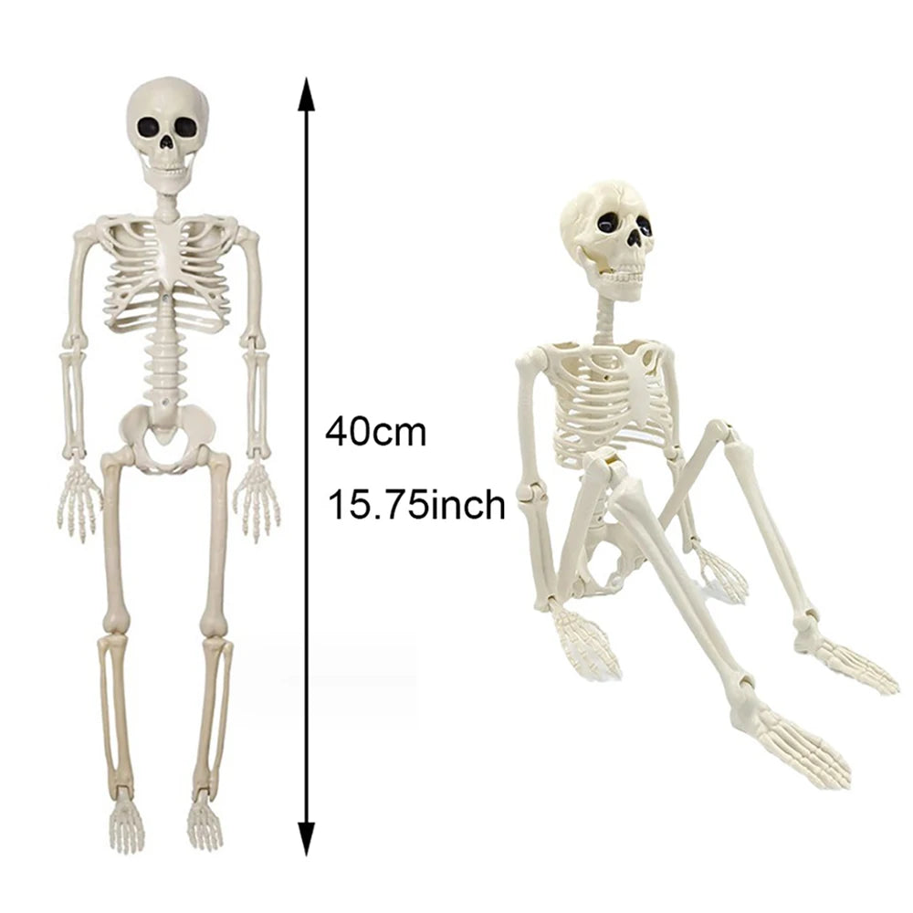Skeleton halloween decoration