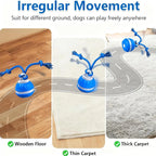 Interactive Dog Toy Ball with Rope Electronic Motion Activated Rolling Ball for Indoor Cat Dog Play Toys for Puppy Training Ball