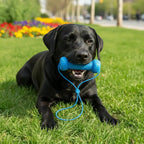 Rubber Dog Chew & Tooth-Cleaning Stick