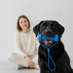 Rubber Dog Chew & Tooth-Cleaning Stick
