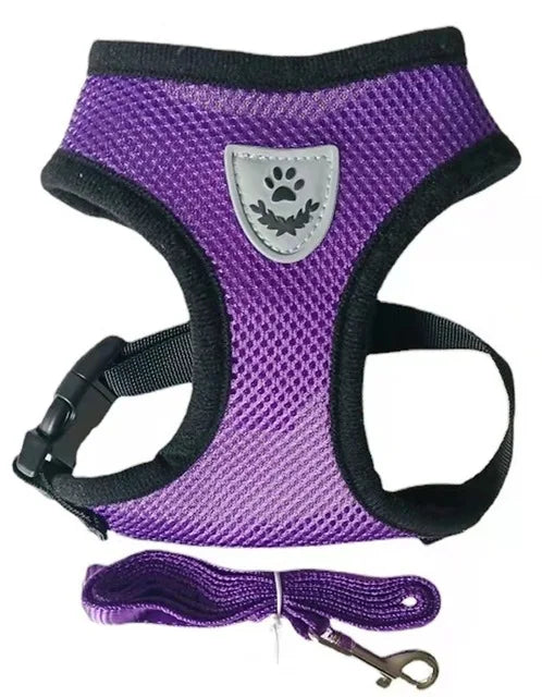 Breathable Mesh Dog & Cat Harness with Lead – S to XL