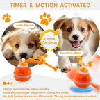 Interactive Dog Toy Ball with Rope Electronic Motion Activated Rolling Ball for Indoor Cat Dog Play Toys for Puppy Training Ball