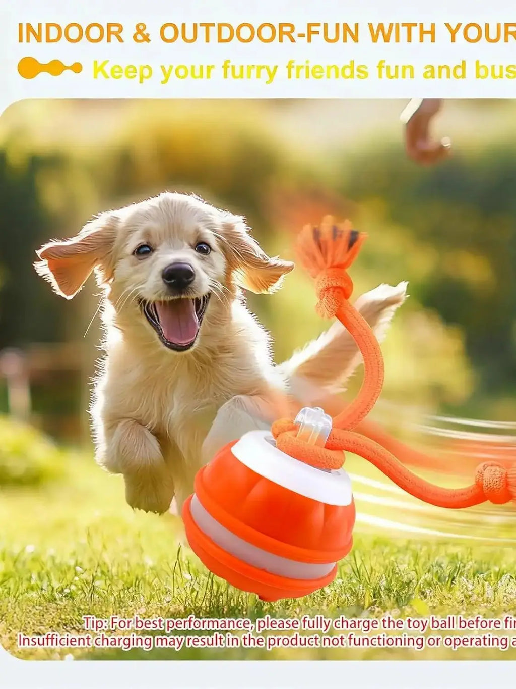 Interactive Dog Toy Ball with Rope Electronic Motion Activated Rolling Ball for Indoor Cat Dog Play Toys for Puppy Training Ball
