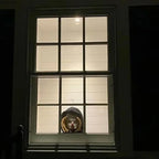 Scary Peeper Window Home Decor 2024 Halloween Horror Hanging Mask Scary Party Cosplay Props Outdoor Indoor Window Decorations