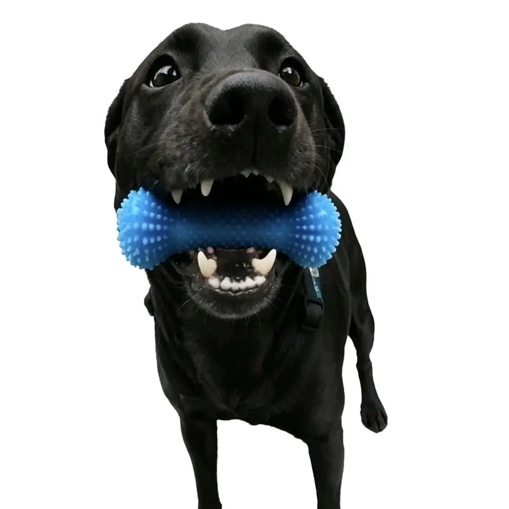Pet Chew Stick Toy for Large Small Dogs, Soft Rubber Dog Toothbrushes, Interactive Toys, For Teeth Cleaning Stick