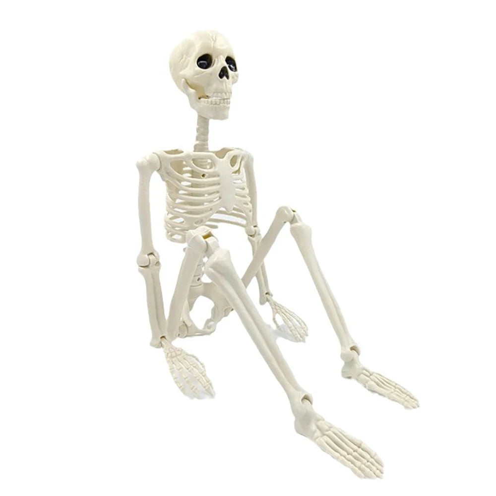 Skeleton halloween decoration