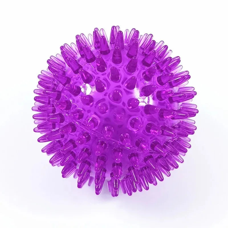 TPR Squeaky Spiked Ball Chew Toy for Dogs & Cats