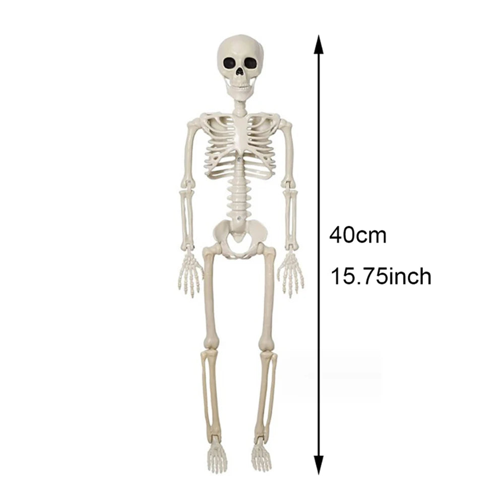 Skeleton halloween decoration